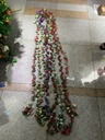 38480.jpg
