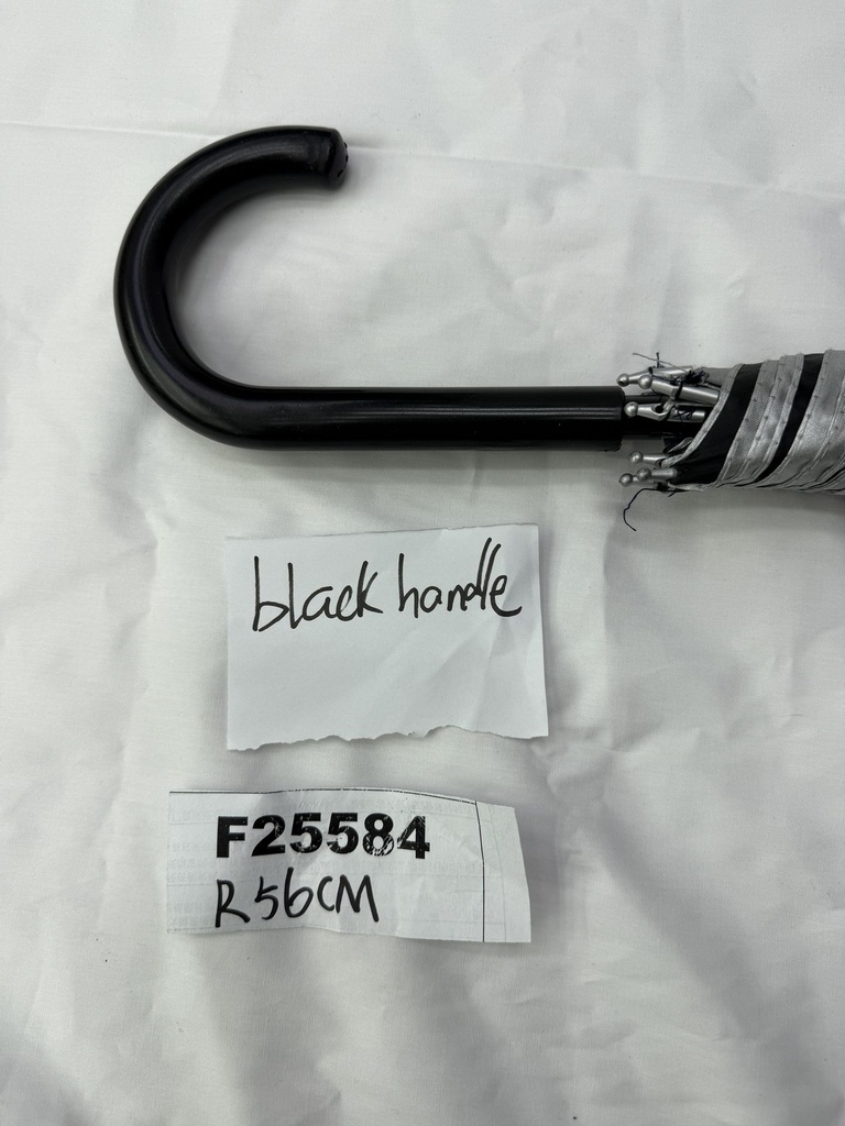 F25584;3.JPG