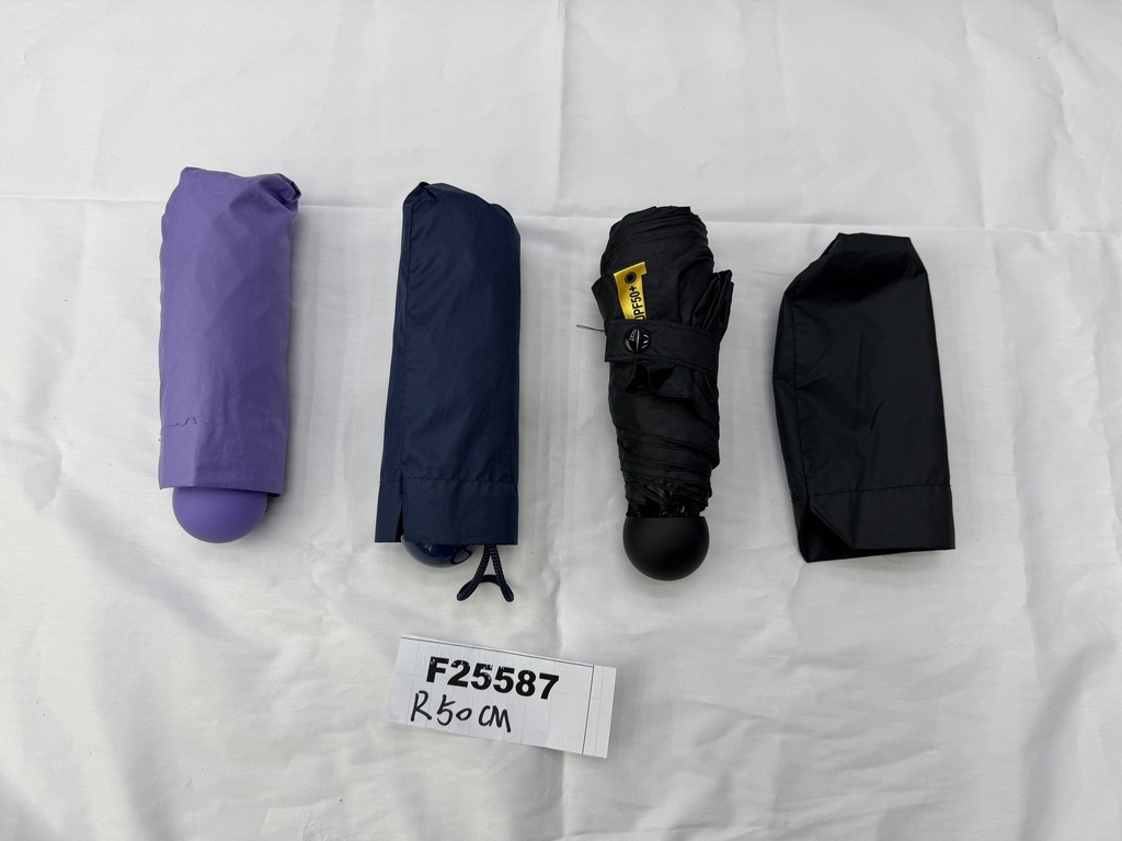 F25587;3.JPG