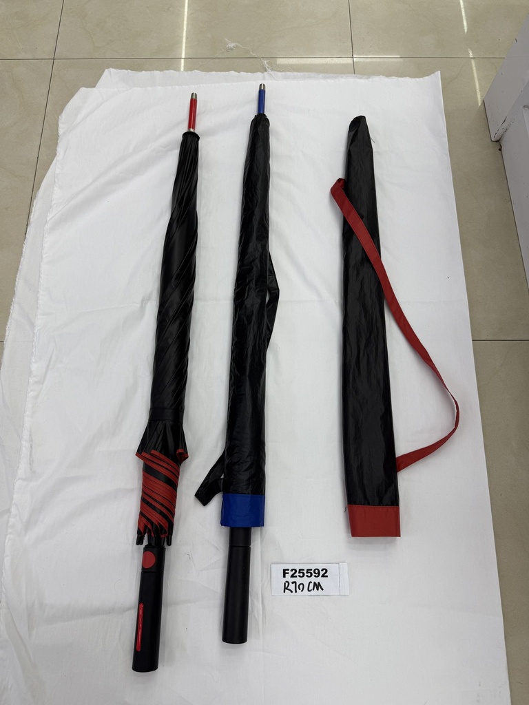 F25592;2.JPG