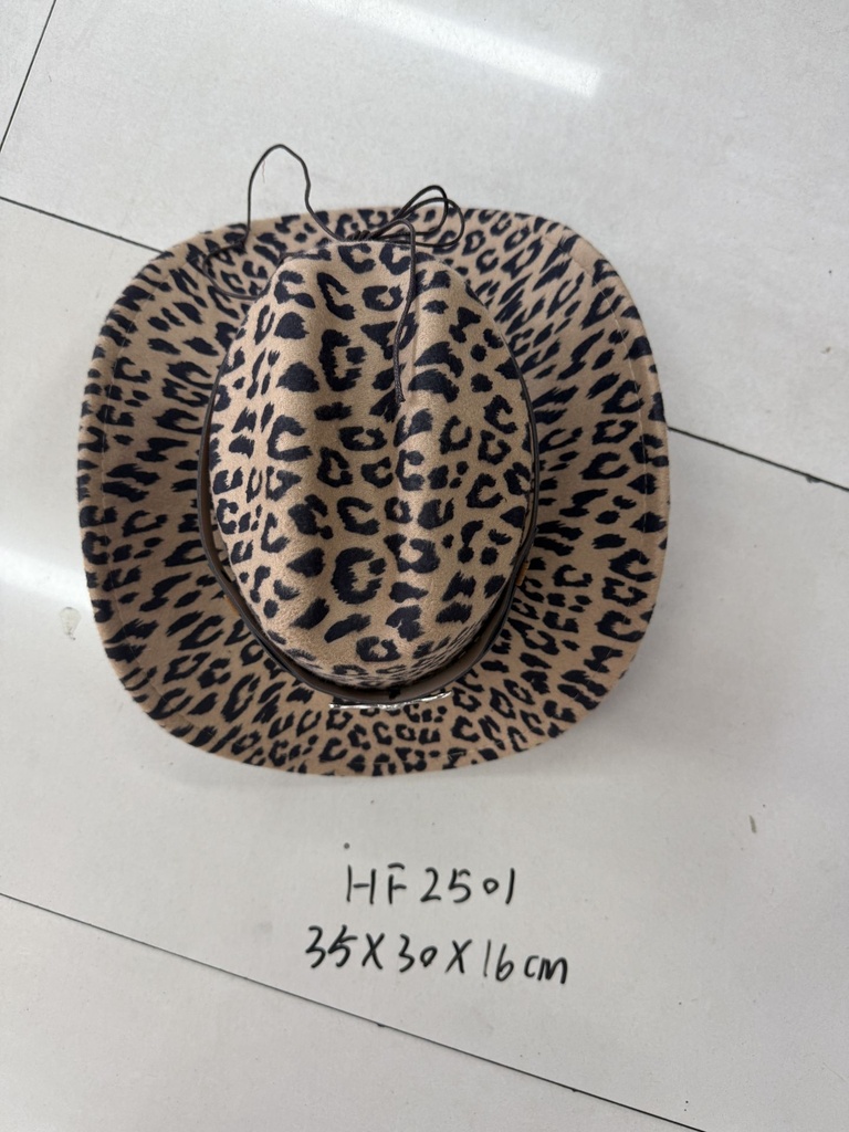 HF2501;2.JPG