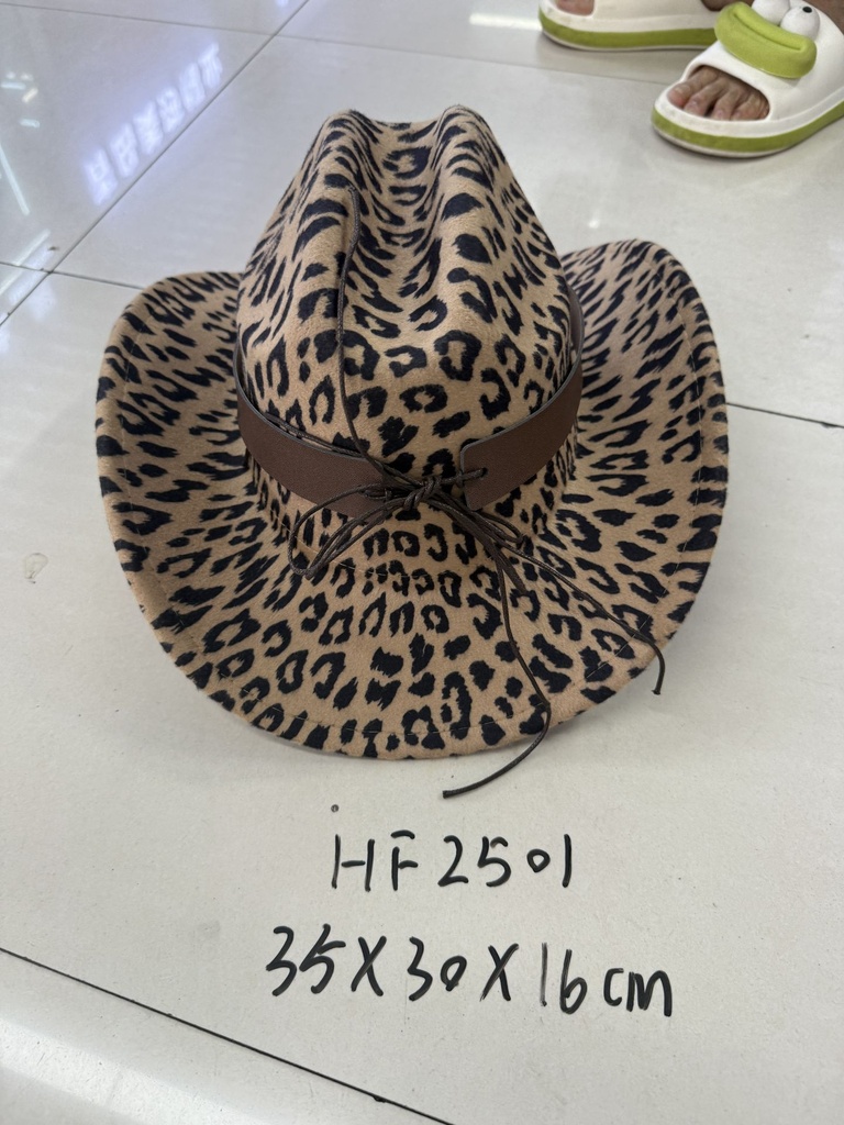 HF2501;3.JPG
