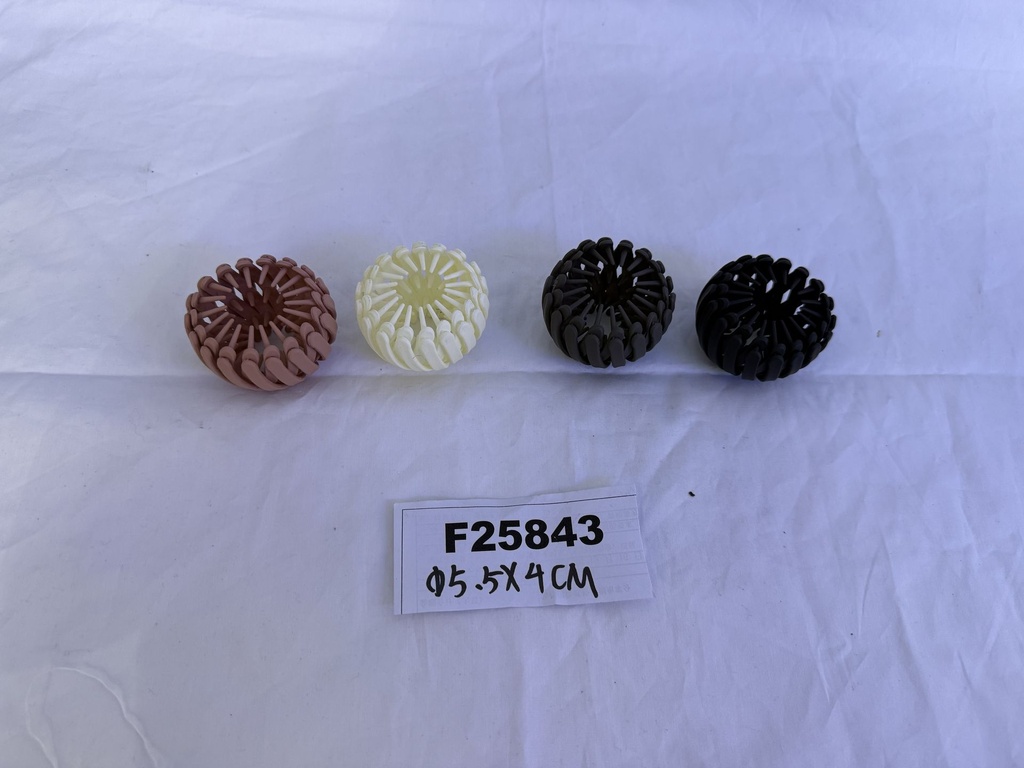F25843;2.JPG