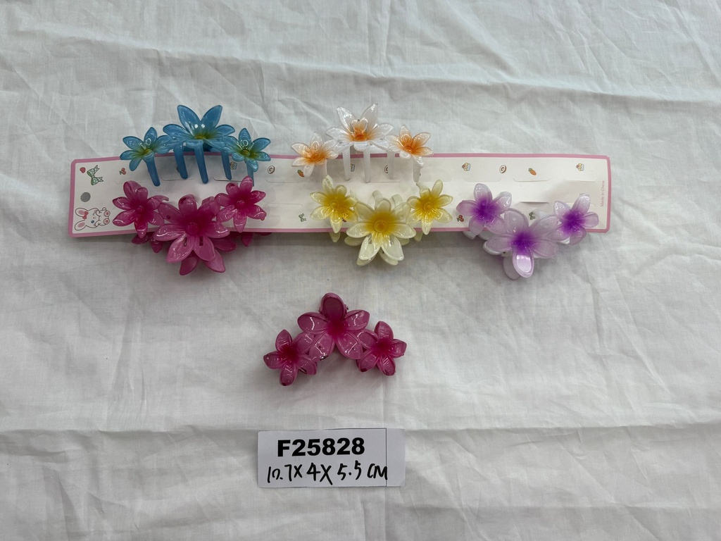 F25828.JPG