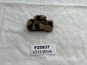 F25837.JPG