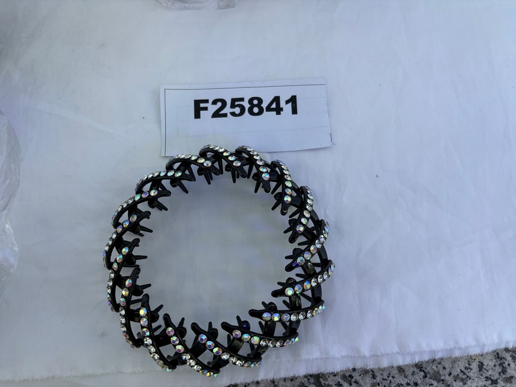F25841;2.jpg