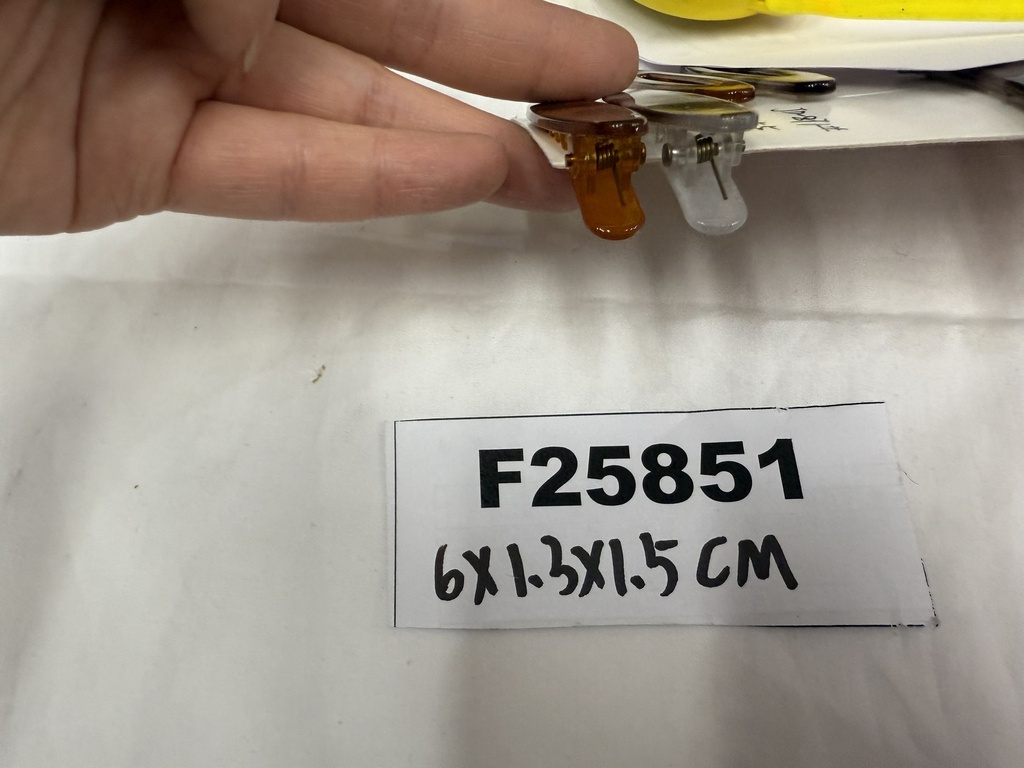 F25851;2.JPG