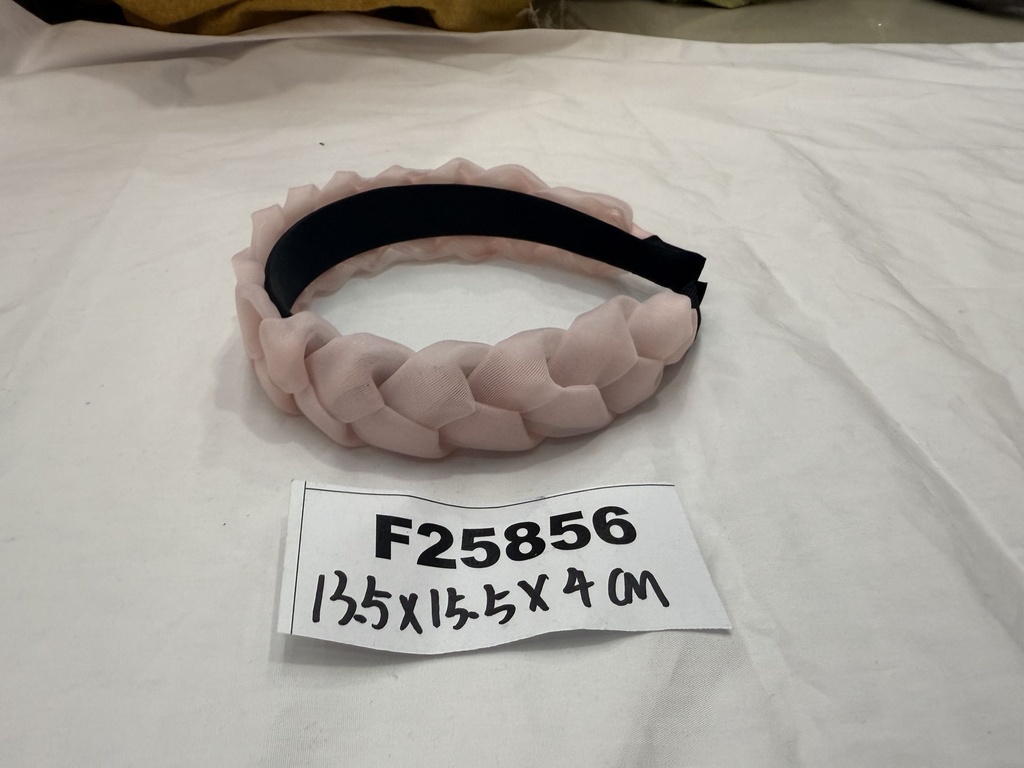 F25856;2.JPG