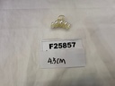 F25857.JPG