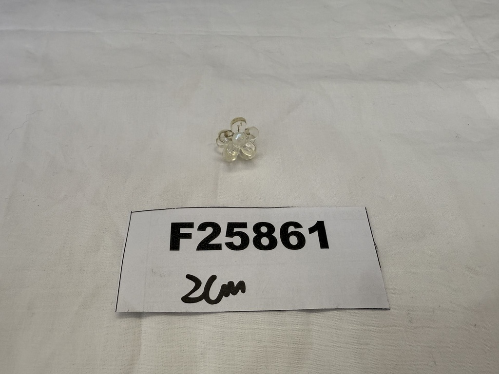 F25861;2.JPG
