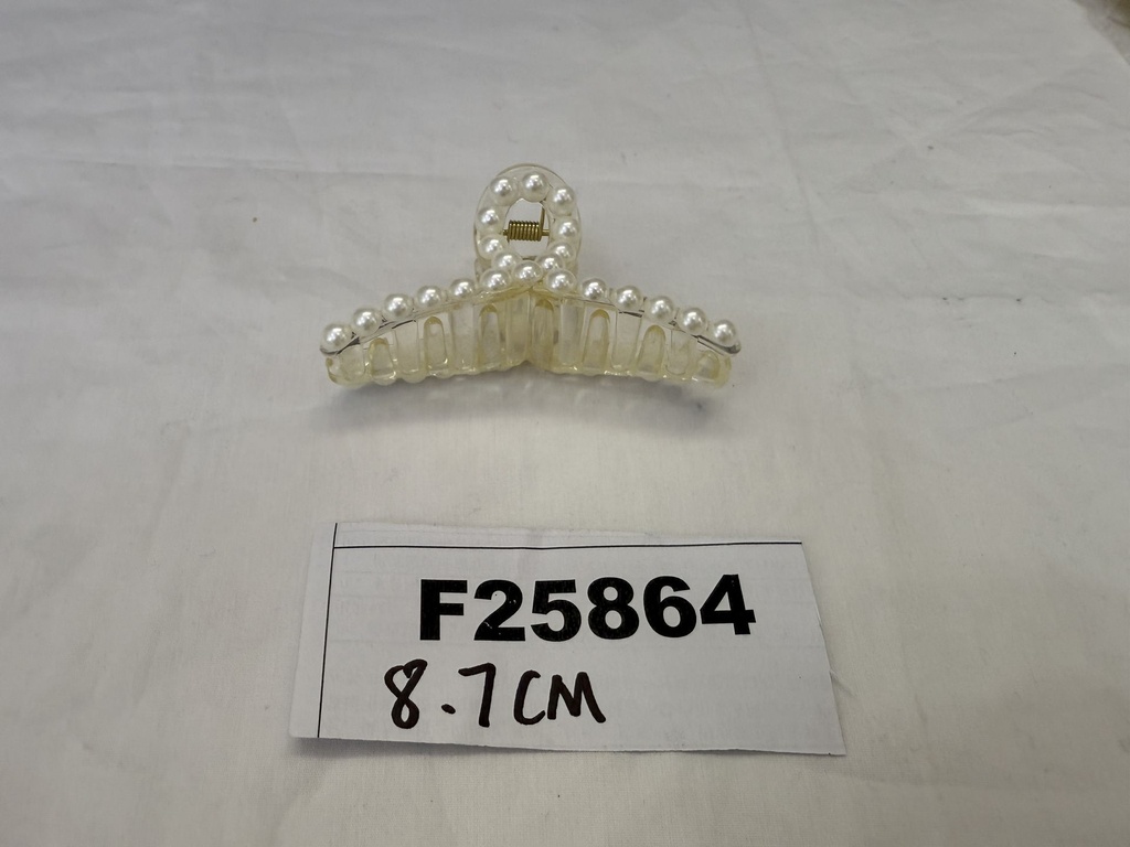 F25864;2.JPG