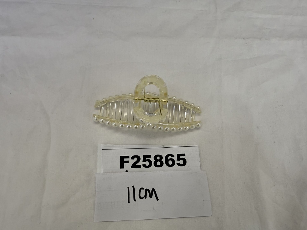 F25865;2.JPG