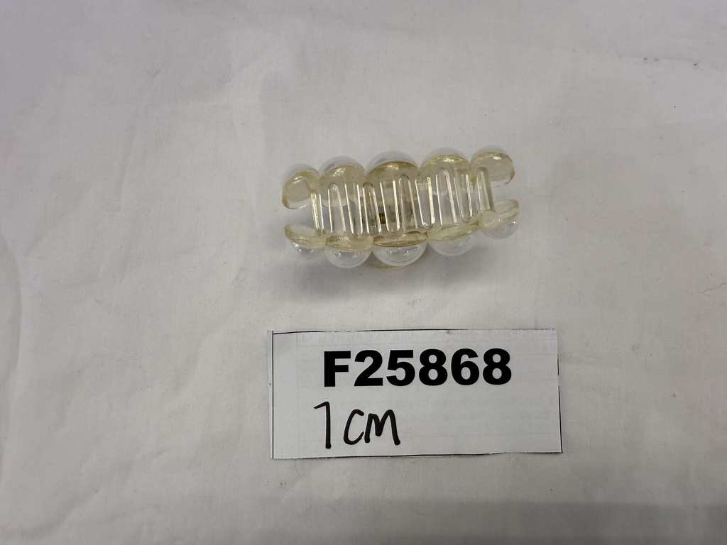 F25868;2.JPG