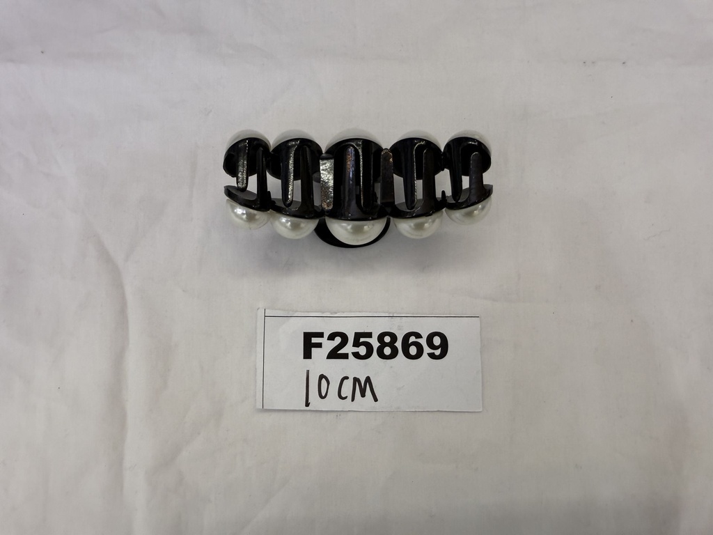 F25869;2.JPG