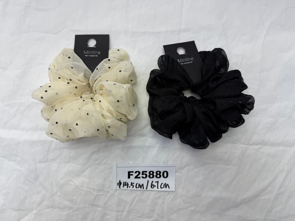 F25880.JPG