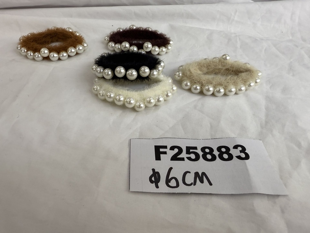 F25883;2.JPG
