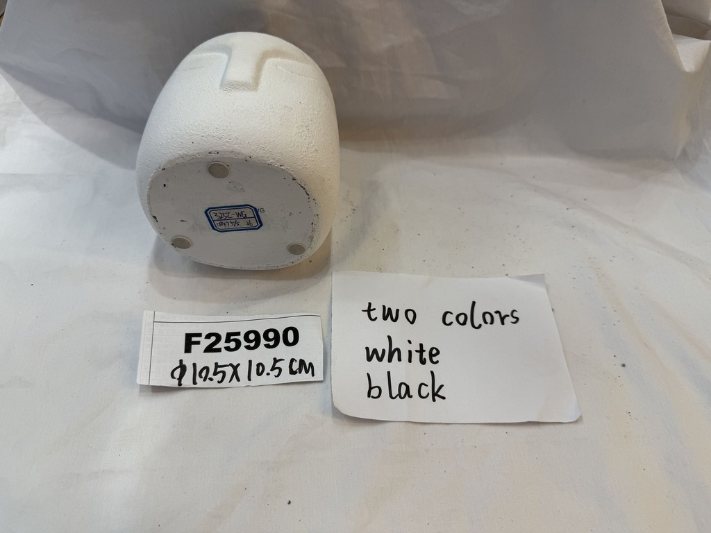 F25990;2.JPG
