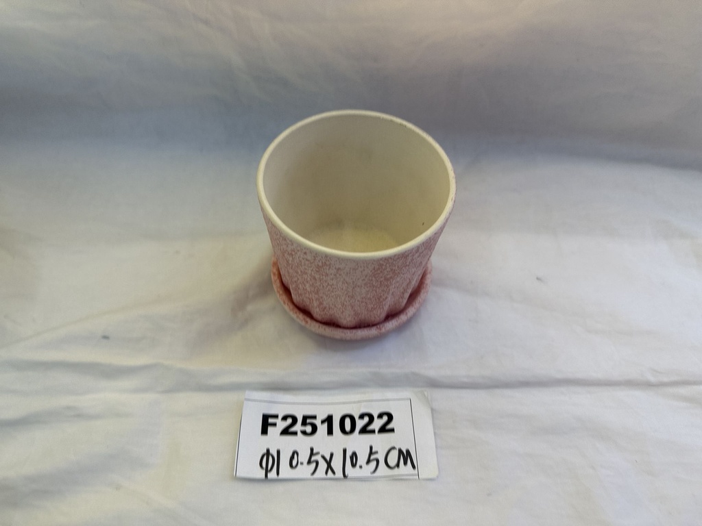 F251022;2.JPG