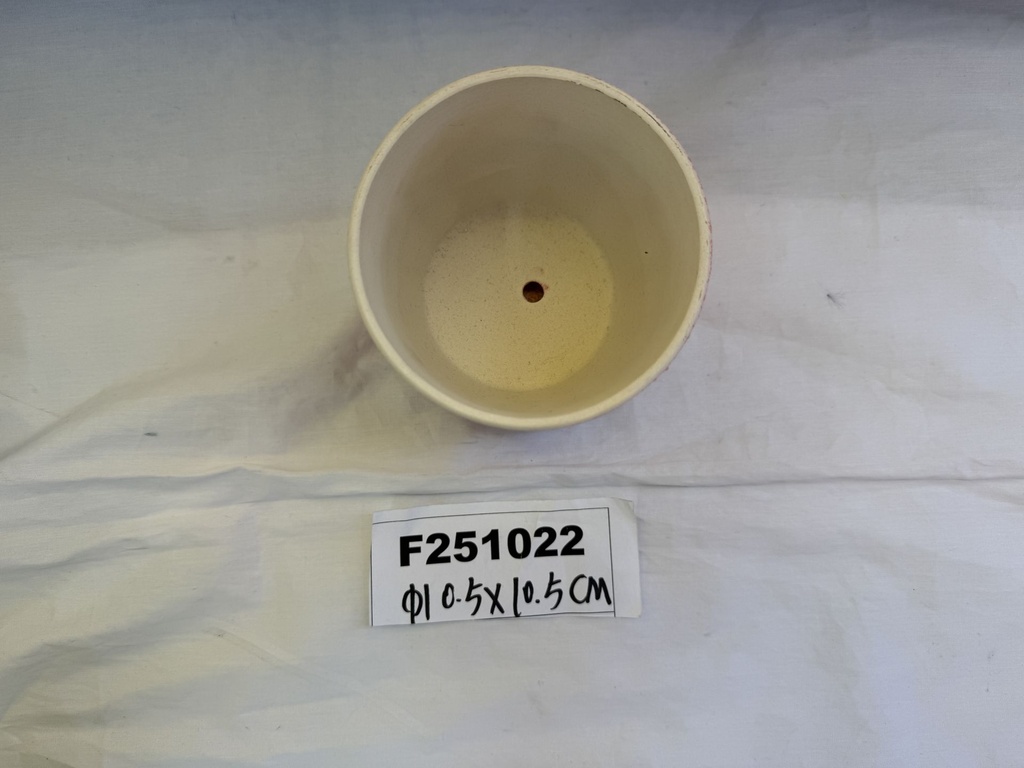 F251022;3.JPG