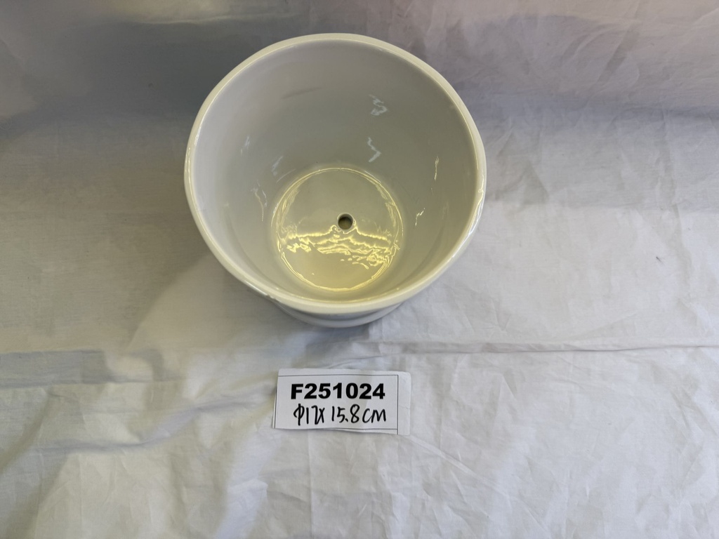 F251024;2.JPG