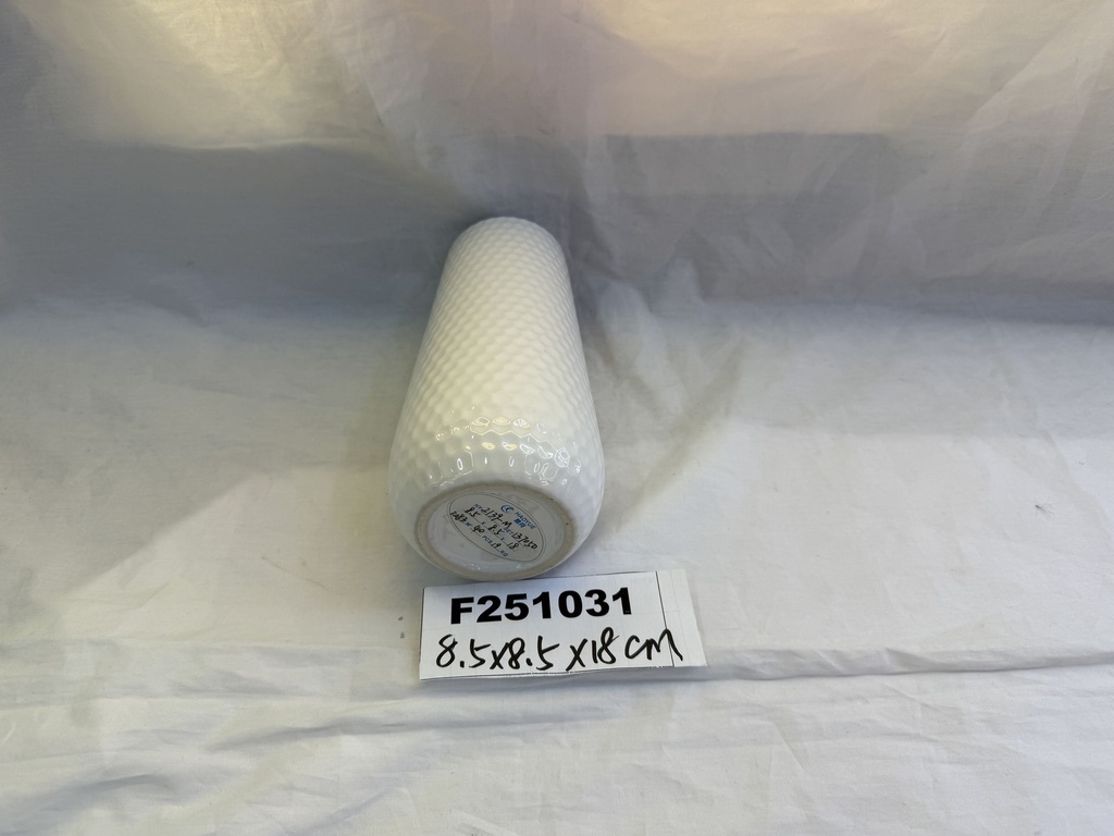 F251031;2.JPG