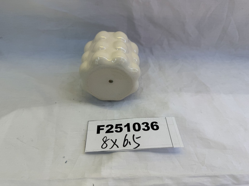 F251036;2.JPG