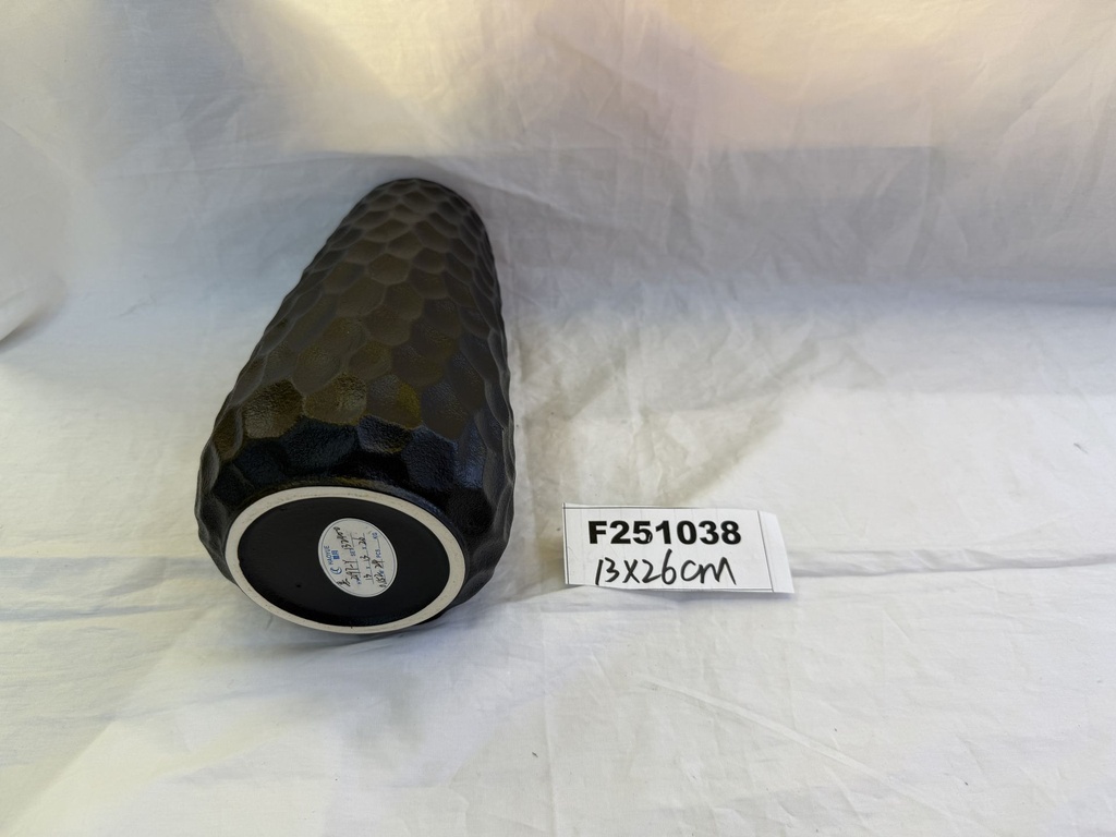F251038;2.JPG