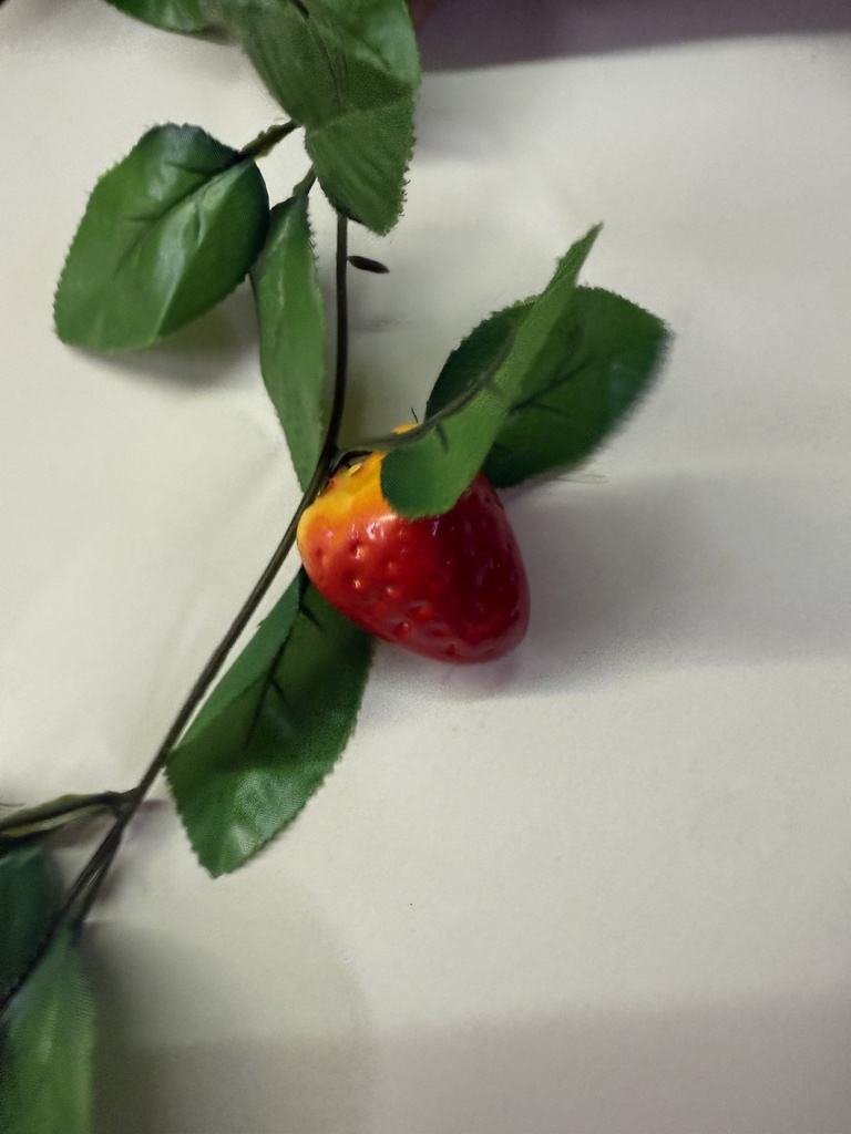 Tekokukkaköynnös,  220cm