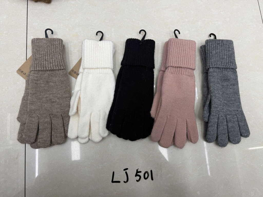LJ501;2.JPG