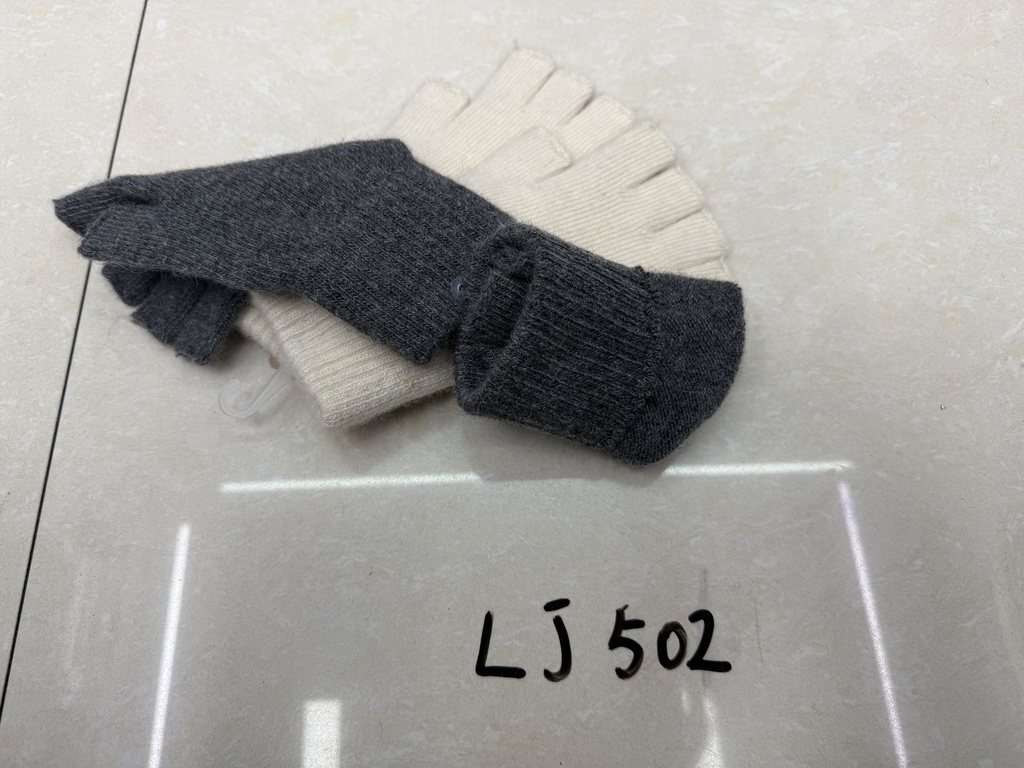 LJ502;3.JPG
