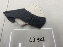 LJ502;3.JPG