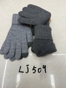 LJ509;3.JPG