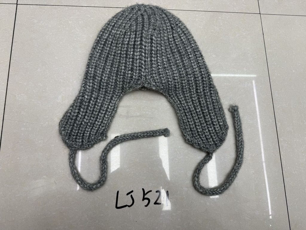 LJ521;2.JPG