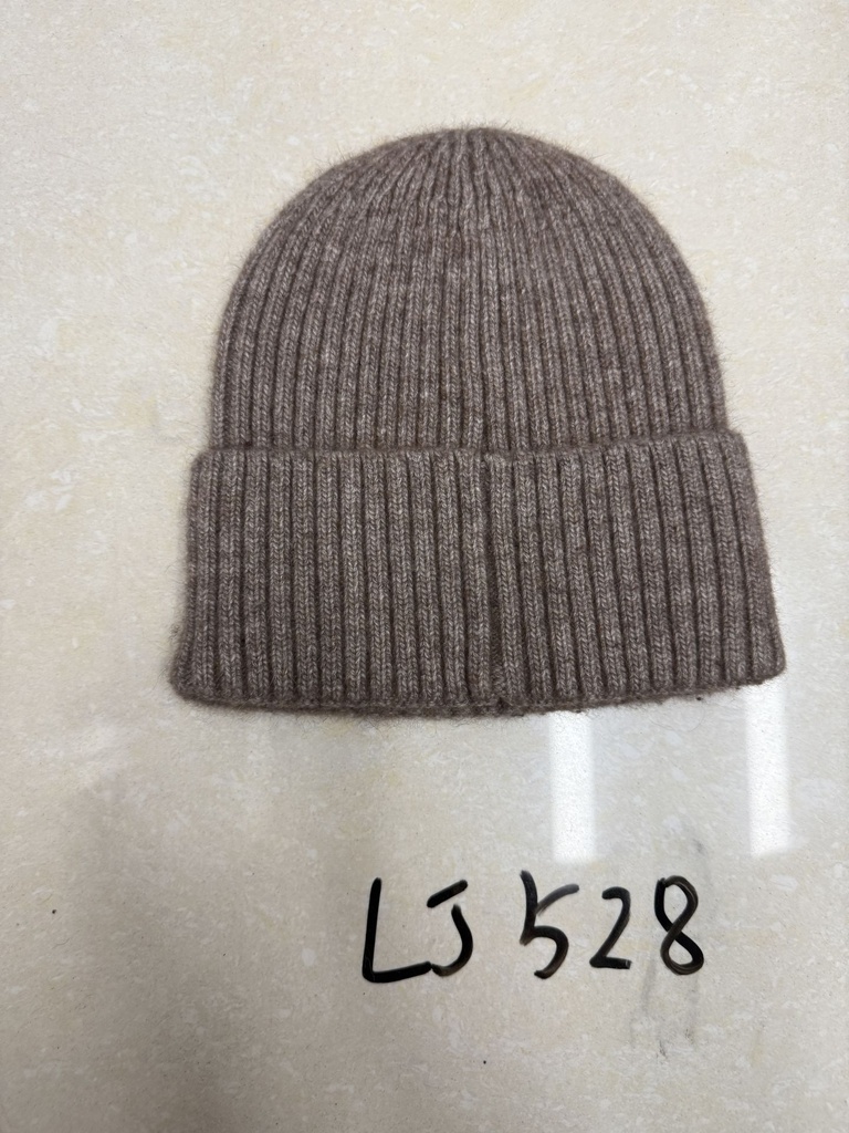 LJ528;2.JPG
