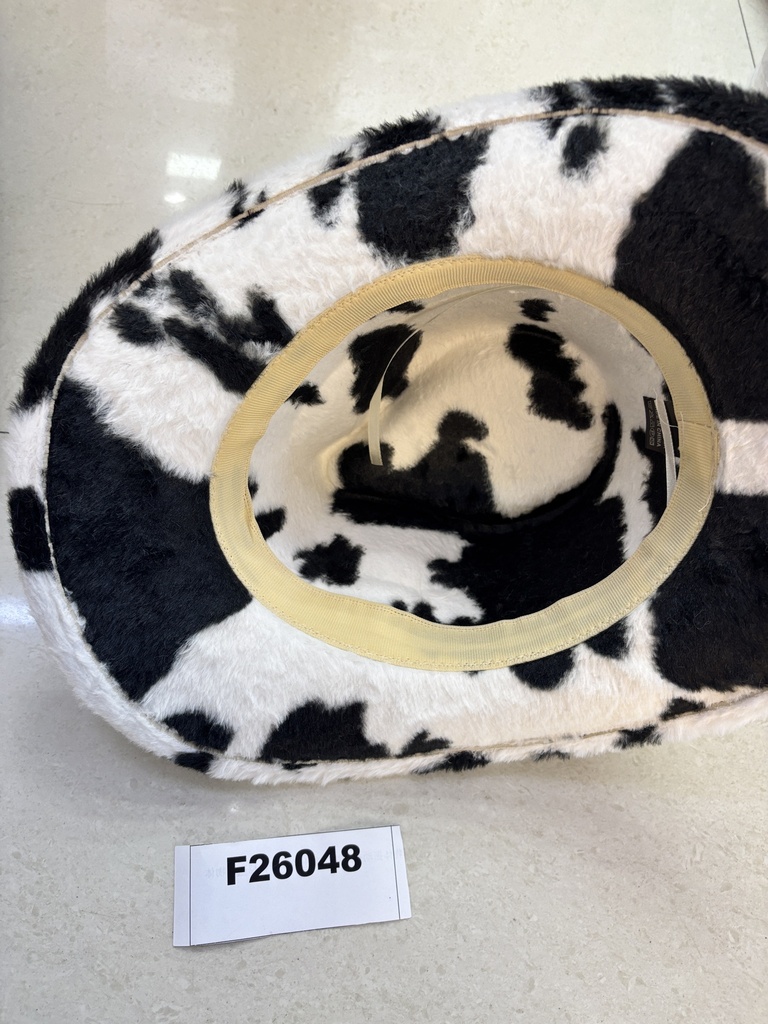 Party cowboyhatut