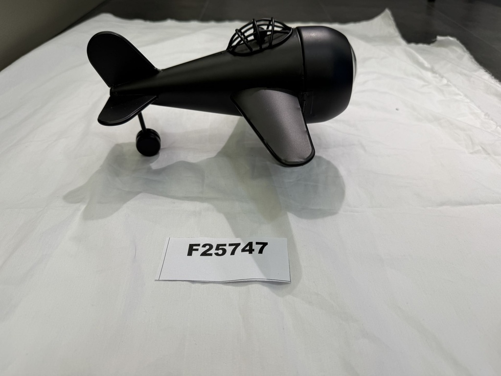F25747;2.JPG
