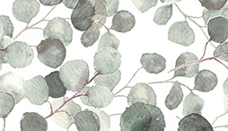 Kontaktimuovi Eukalyptus 45x200cm