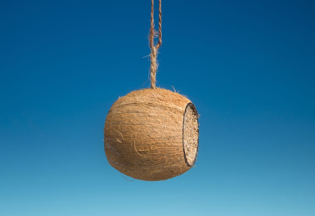 Kookospähkinä DRUM. Sisällä siemenrasvaseos. 22 kpl/ ltk. Lavalla 1056 kpl=48crt