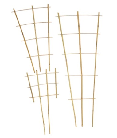 Köynnöstuki, bambua, korkeus 45cm