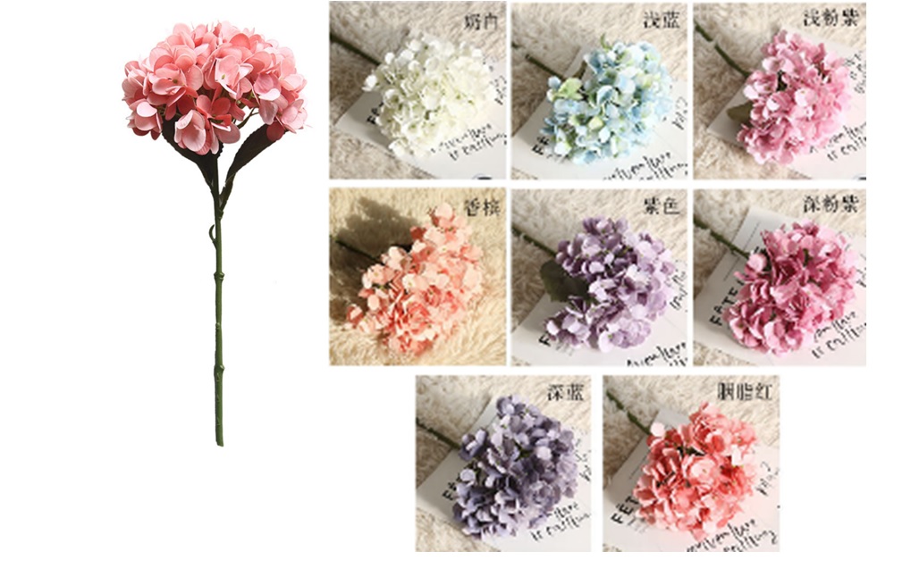 Hortensia 35 cm, kukan halk 16 cm, värilajitelma