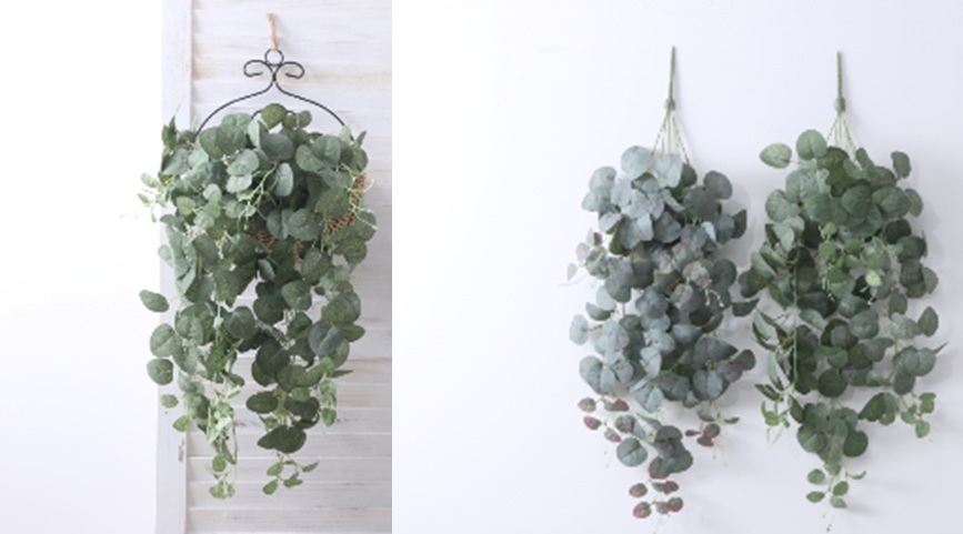 Eukalyptus 76 cm