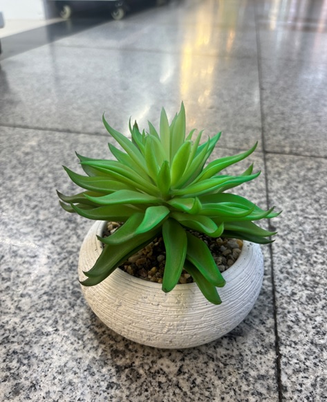 Tekokukka, musta ja valk. ruukku laj. muovia ja keramiikkaa,halk.  12*15CM