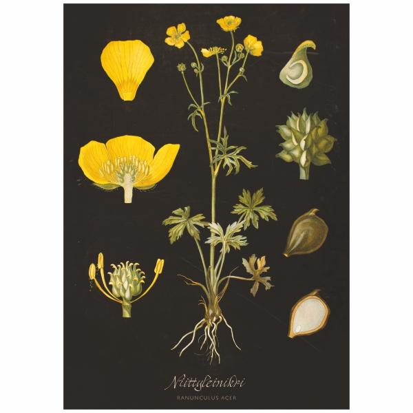 LÖYTÖTEX NON WOVEN Kauppakassi, 40x35cm + 10cm avautuvat sivut+  pohja ( sis. Kantokahvat ) 