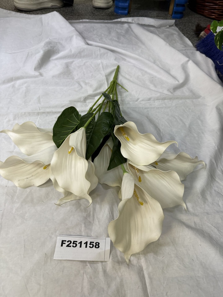 Kallakimppu, 60cm
