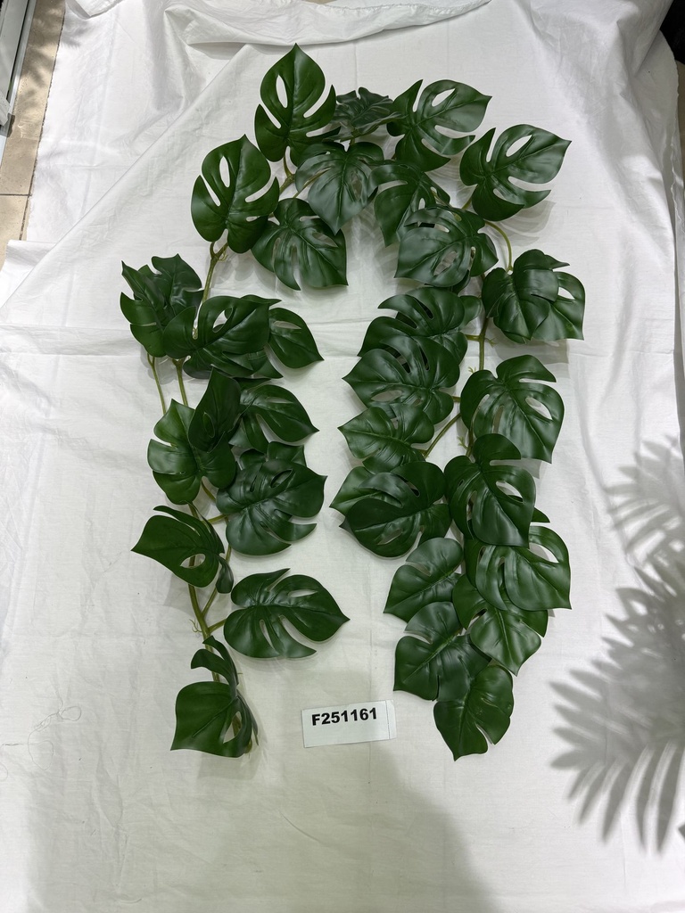 Peikonlehti köynnös, 180cm