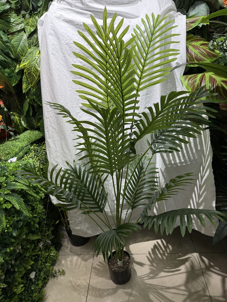 Palmu ruukussa, 115cm