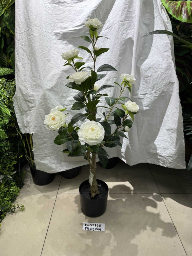 Ruusu ruukussa, 90cm