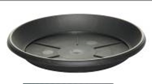 Alunen Antrasiitti 12cm 12/14cm ruukullle 