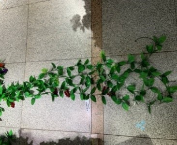 Tekokukkaköynnös,  220cm
