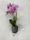 Orkidea 58 cm, keraaminen ruukku